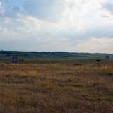 L'ex campo di prigionia della seconda guerra mondiale presso Altamura invisibile dalla strada esterna